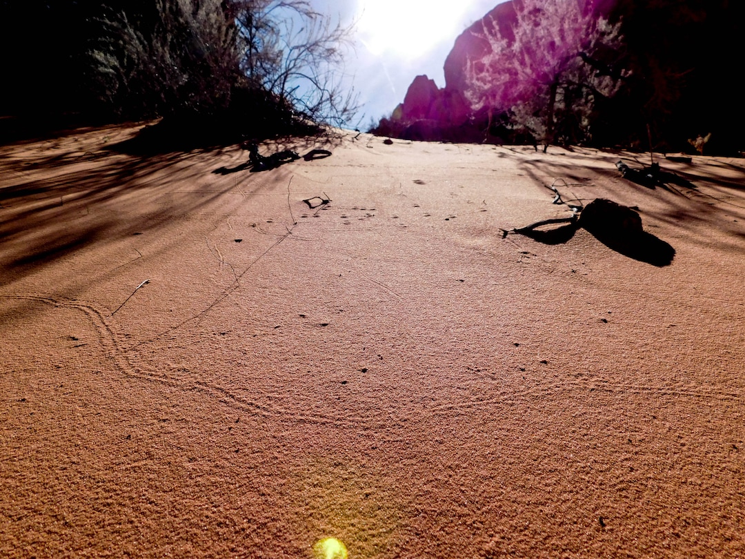 Erin Alberty  |  The Salt Lake TribuneA snake's trail is visible in the morning sun March 12, 2017 along the Babylon Arch trail in the Red Cliffs Desert Reserve near Leeds.