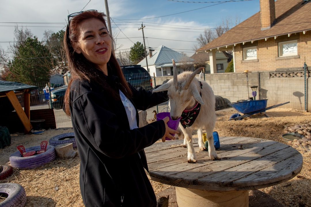(Rachel Molenda  |  The Salt Lake Tribune)  Candace Yocum feeds one of her pygmy goats, Marshmall, at her home in Midvale, Utah, on Monday, March 11, 2019. Yocum worked with Midvale City Council to allow pygmy goats to be kept as pets.