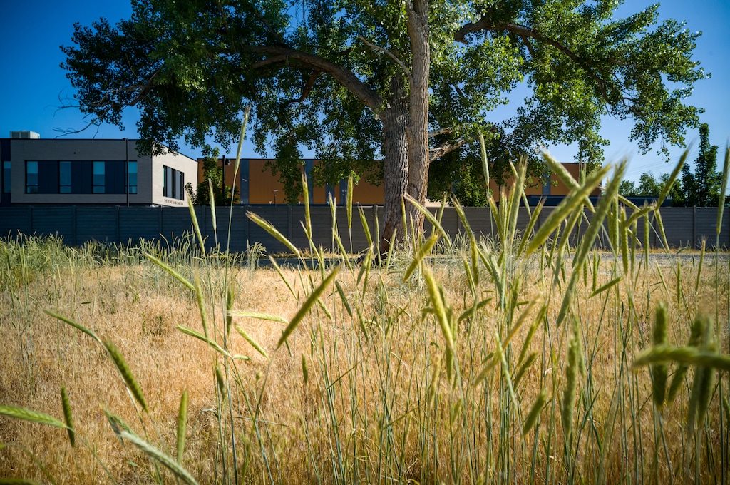 (Trent Nelson  |  The Salt Lake Tribune) An empty lot bordered by the Jordan River Trail and the Pamela Atkinson Homeless Resource Center in South Salt Lake on Tuesday, June 3, 2025. It is set to host a new police station.