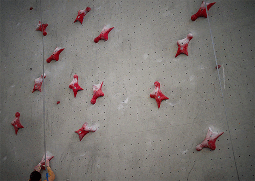(Trent Nelson  |  The Salt Lake Tribune) 
Speed climbers with Olympic aspirations gather at Momentum Indoor Climbing in Millcreek for a speed training camp on Tuesday, Jan. 30, 2024.