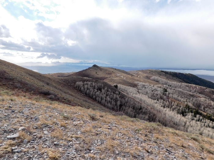 (Erin Alberty | The Salt Lake Tribune)  Porphyry Hill offers sweeping views of Ophir Canyon and the Tooele Valley. Photo taken Nov. 27, 2017.