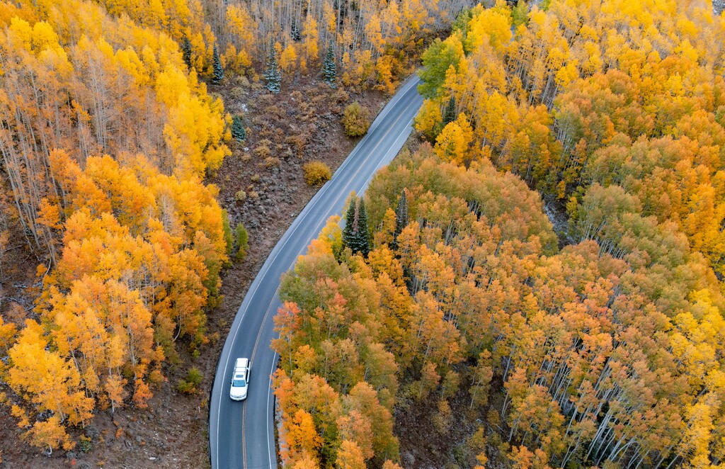 (Francisco Kjolseth | The Salt Lake Tribune) Leaves turn with the change of the season creating a tapestry of brilliant fall colors in the Wasatch Mountains on Wednesday, Sept. 29, 2021