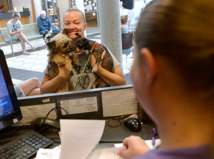 (Leah Hogsten  |  The Salt Lake Tribune) Rachael Noxon is all smiles as her dog Belle (left) warmly greets the family's newest addition, a 5-year-old terrier mix (right) during the Humane Society's weeklong adoption event, Clear the Shelters, Saturday, August 19, 2017, a nationwide drive to adopt out cats and dogs.