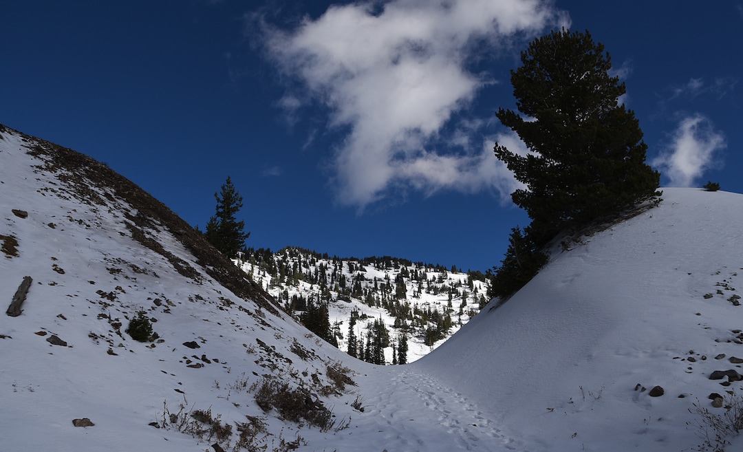 (Francisco Kjolseth  |  The Salt Lake Tribune)  Tailings from an old mine frame the upper basin of Grizzly Gulch on the other side of the road from Alta Ski Resort on Monday, Nov. 5, 2018. Alta Ski Area will not be included in the proposed Central Wasatch National Conservation and Recreation Area.