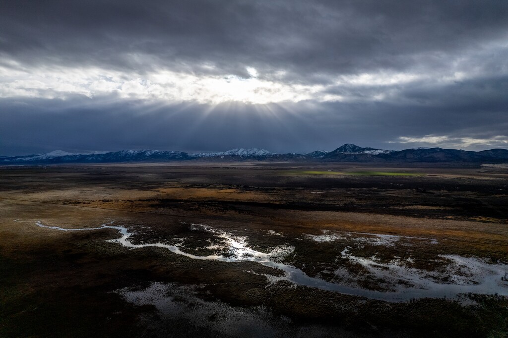 (Trent Nelson  |  The Salt Lake Tribune) Wetlands at Goshen Bay, on the south end of Utah Lake, on Monday, Feb. 19, 2024.