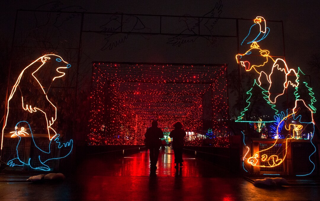 (Rick Egan  |  The Salt Lake Tribune)   The ZooLights at Hogle Zoo are turned on, Friday, Nov. 30, 2018. The lights continue  through December 31st, 