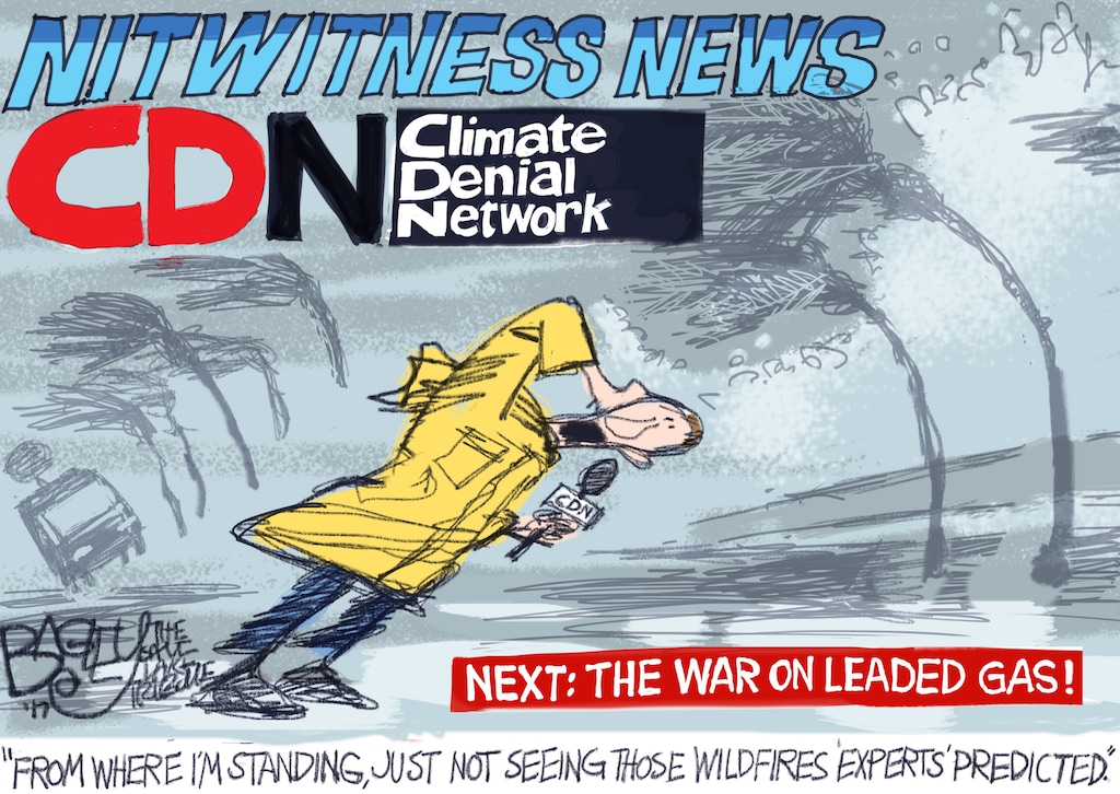 Bagley Cartoon: Hurricane Force Stupidity