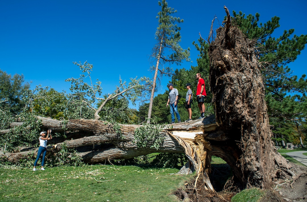(Rick Egan  |  The Salt Lake Tribune)    People pose for photos on one of the trees that was toppled by the heavy winds earlier this week at Liberty Park, on Saturday, Sept. 12, 2020.