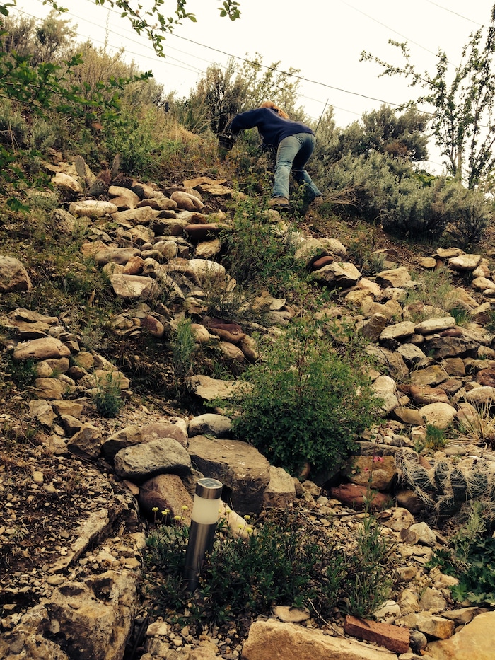 (Courtesy photo) Reporter Erin Alberty works in the garden May 11, 2014 in Salt Lake City. The slope had been covered in invasive Myrtle Spurge.