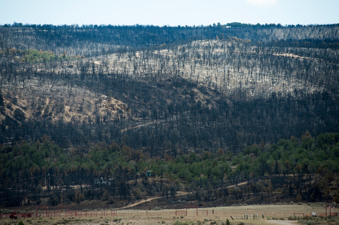 (Rick Egan  |  The Salt Lake Tribune)       Some cabins were spared as the Dollar Ridge Fire burned along the ridge of Currant Creek Mountain, Tuesday, July 10, 2018.