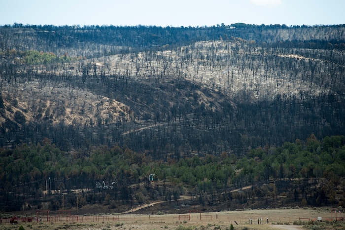 (Rick Egan  |  The Salt Lake Tribune)       Some cabins were spared as the Dollar Ridge Fire burned along the ridge of Currant Creek Mountain, Tuesday, July 10, 2018.


