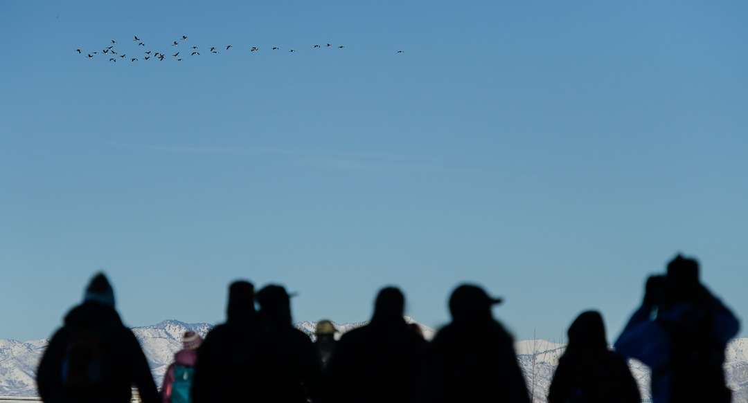 (Francisco Kjolseth  |  The Salt Lake Tribune)  A group of Audubon members walk a long stretch of the Jordan River from Bangerter Highway to South Jordan on New Year's Day counting birds as part of the annual survey, now its 119th year, done by multiple members across Utah.