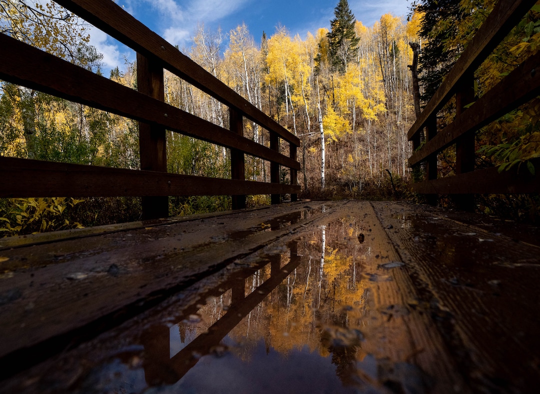 (Francisco Kjolseth | The Salt Lake Tribune) Trees explode with fall color as people make their way along the Red Pine Road Trail at the top of Millcreek Canyon on Thursday, Oct. 7, 2021.