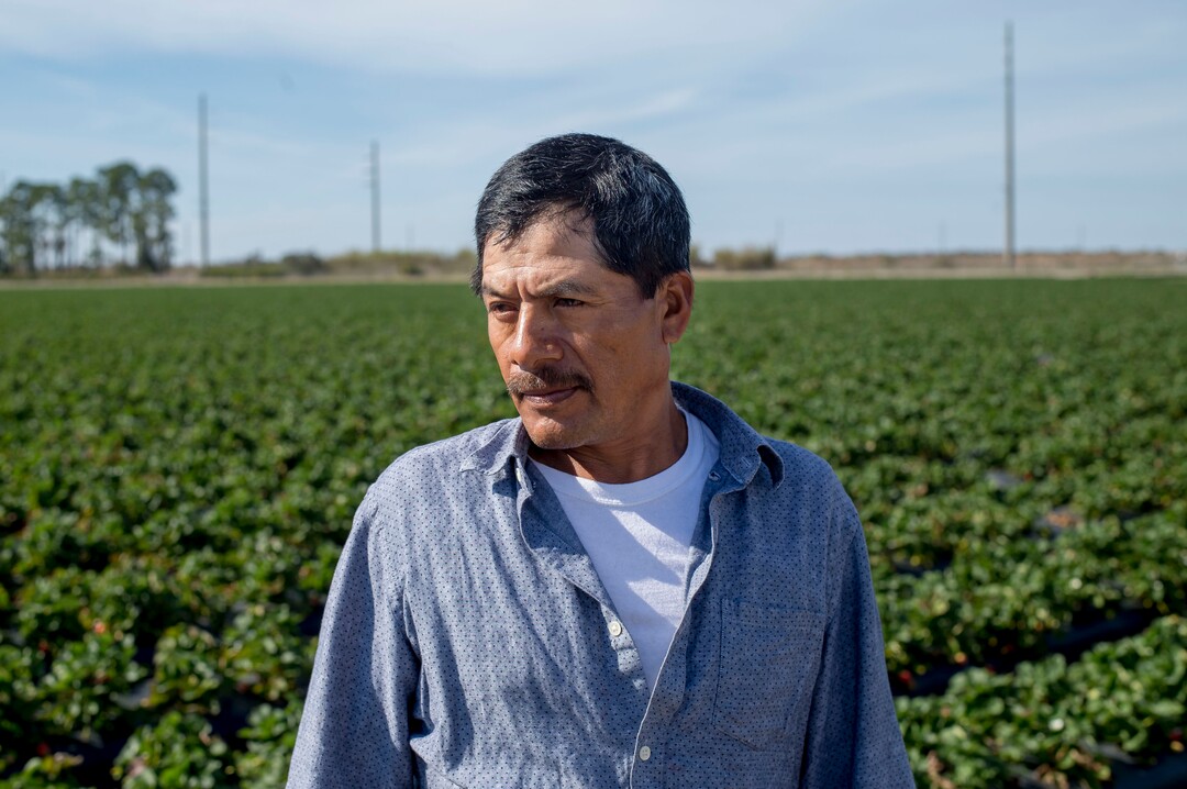(Zack Wittman  |  For The Washington Post)  Antonio Vengas, a field worker, says, "I see the robot and think, 'Maybe we're not going to have jobs anymore.' "