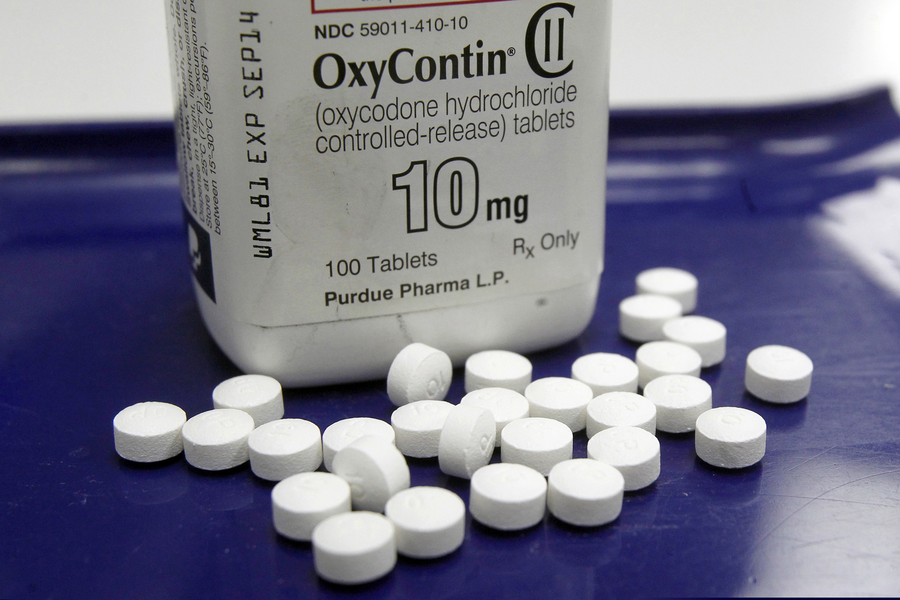 Purdue Pharma and previous owners, members of the Sackler family, have agreed. to a $7.4 billion settlement with multiple states, including Utah. Multiple lawsuits over the years have claimed the Sacklers new their drug, OxyContin, was highly addictive but downplayed it to consumers.
(AP Photo/Toby Talbot, File)