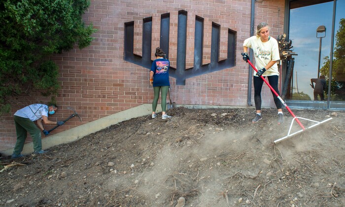 (Rick Egan  |  The Salt Lake Tribune)     Chris Juchau, Stake President of the Church of Jesus Christ of Latter Day Saints Highland Utah South Stake and stake members, Lizzie and Rebecca Ives, help xeriscape the grounds of Congregation Koa Ami, on Wednesday, Aug. 5, 2020.