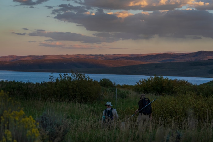 (Leah Hogsten | The Salt Lake Tribune) Keith Lawrence and Kaitlyn Purington, both native aquatics biologists with the Utah Division of Wildlife Resources search for boreal toads in the Bryant's Fork area of Strawberry Reservoir, March 1, 2022. Boreal toads donÕt draw the same attention as other native Utah species, but they play an important role in the state's high-altitude ecosystems. Lessons learned here could help bolster their populations throughout West.