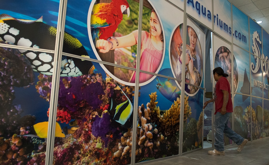 (Leah Hogsten | The Salt Lake Tribune) SeaQuest's interactive aquarium in Layton will stay open until at least Dec. 20 as the company navigates bankruptcy proceedings.