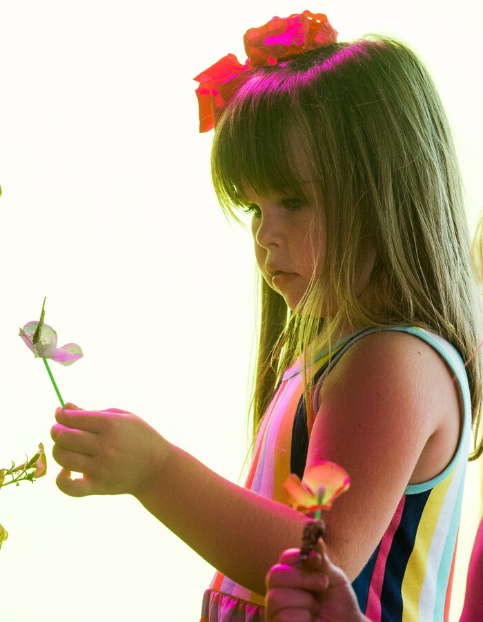 (Rick Egan  |  The Salt Lake Tribune)    Reese Wilkins, 4, from Layton holds a butterfly on a flower in the butterfly house  at the Davis County Fair in Farmington, Saturday, Aug. 18, 2018.
