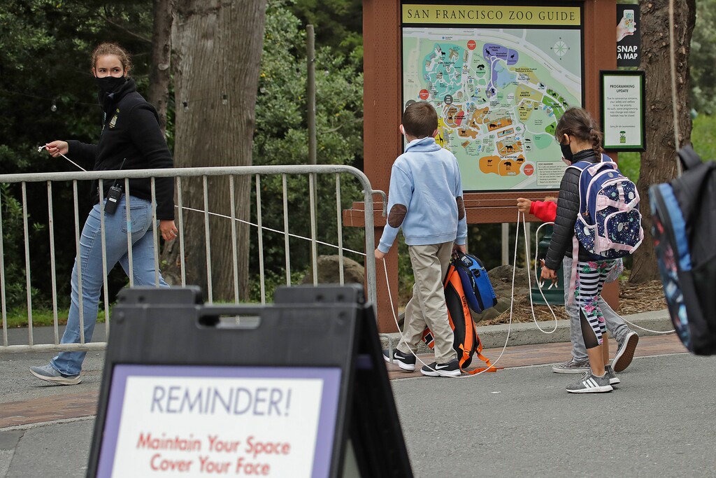 (Ben Margot | AP)  A class keeps social distance at the San Francisco Zoo on Monday, July 13, 2020, in San Francisco.