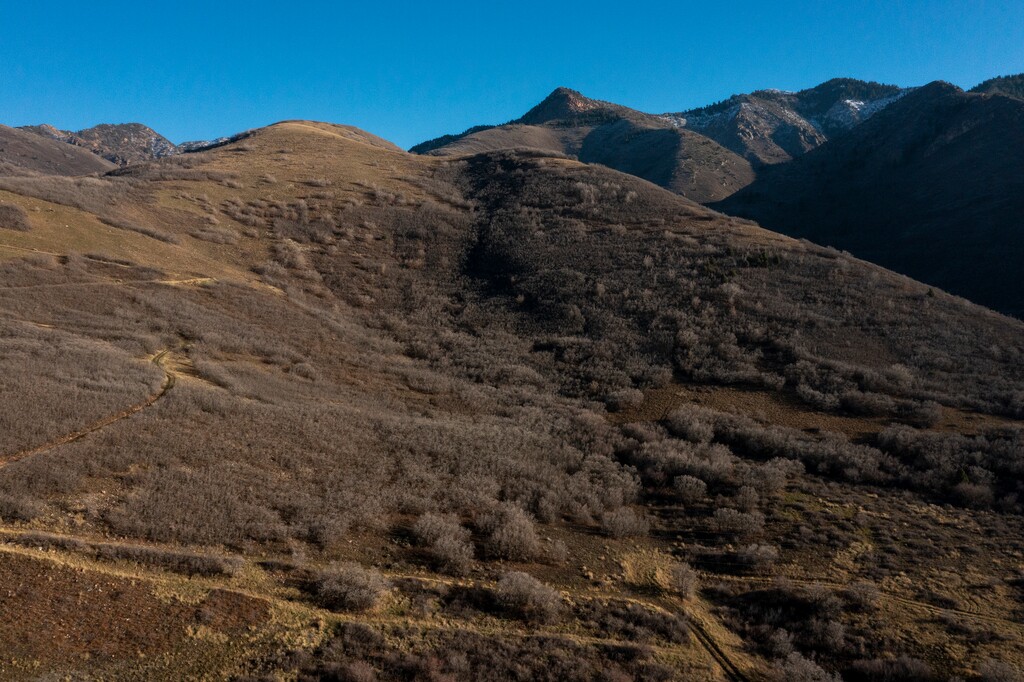 (Leah Hogsten | The Salt Lake Tribune)  The area in Parleys Canyon, Nov. 22, 2021, where a proposed open-pit limestone quarry would be located, according to Utah mining regulators.