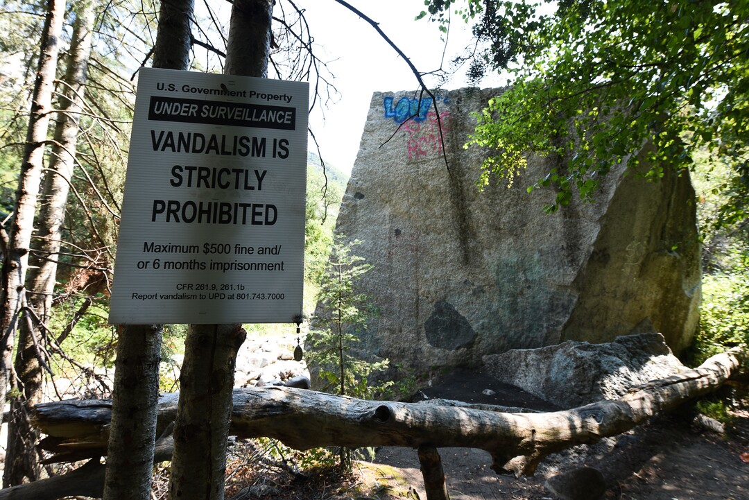 (Francisco Kjolseth  |  The Salt Lake Tribune)  Graffiti has proliferated in lower Little Cottonwood Canyon, where vandals, often wielding cans of fluorescent-colored spray paint, have covered granite faces, trees and structures. The vandalism is particularly apparent along the Temple Quarry Trail and the creek at the Moon Rock swimming hole and former pavilion site. Volunteers using donated equipment and solvents spend thousands of hours removing the paint from the rocks only to see graffiti return to the same faces or on rock nearby.