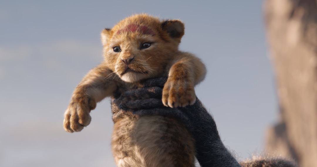 (Image courtesy Walt Disney Pictures) The young cub Simba is presented to the animals of the savanna in Disney's computer-animated version of "The Lion King."