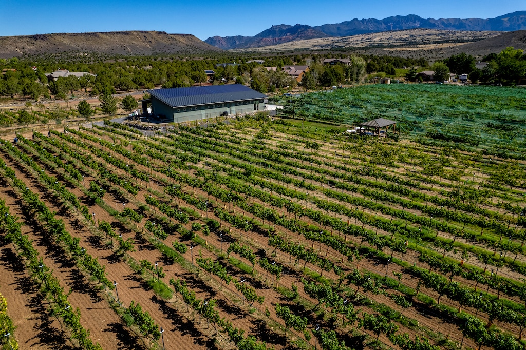 (Trent Nelson  |  The Salt Lake Tribune) Bold & Delaney Winery in Dammeron Valley.
