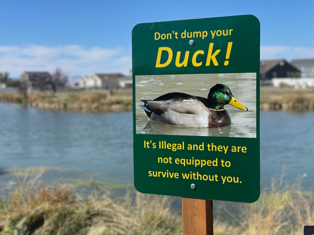 (Image courtesy of For Duck's Sake) A sign at Clinton Pond urges visitors not to dump their domestic ducks.