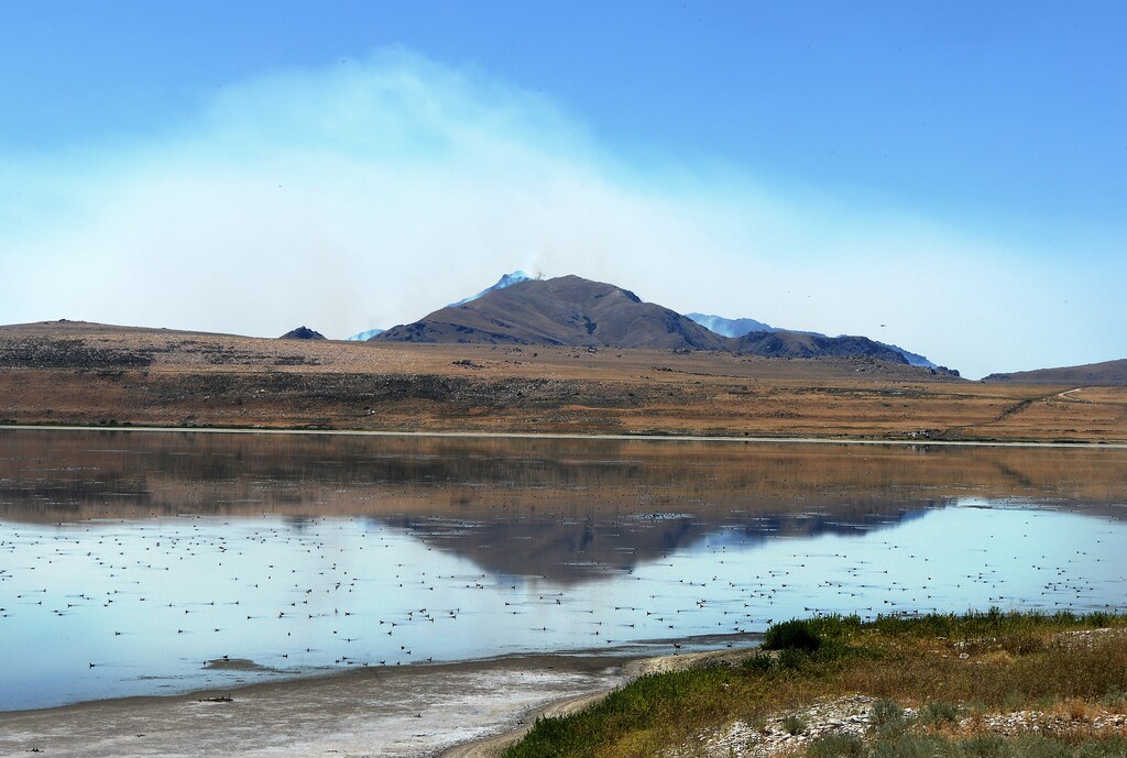 (Scott Sommerdorf | The Salt Lake Tribune)
From the causeway, Antelope Island can been seen with a plume of smoke hovering over it, Saturday, July 23, 2016.