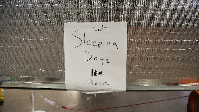 (Rachel Molenda | The Salt Lake Tribune) Animals are given a "nap time" at the Best Friends Animal Society shelter in Conroe, Texas, on Wednesday, Sept. 6, 2017. Everyday, the shelter dims the lights to give animals some down time, beause of the stress many have endured following Hurricane Harvey.