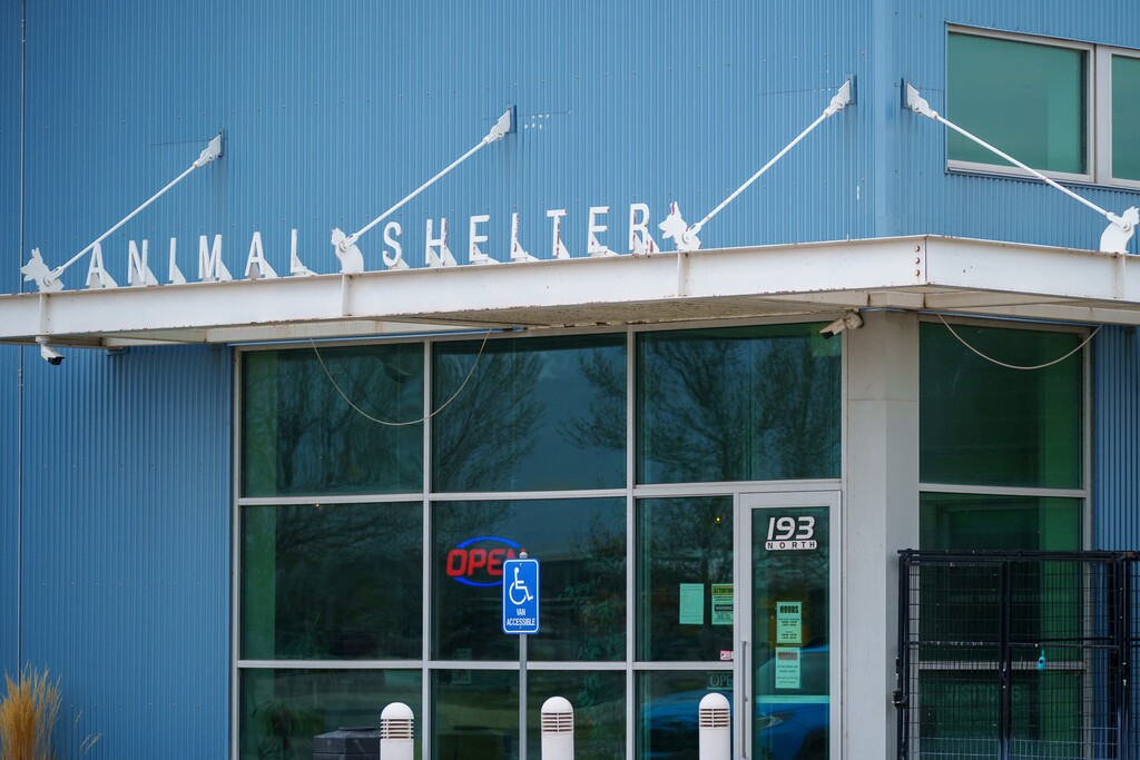 (Trent Nelson  |  The Salt Lake Tribune) North Utah Valley Animal Services, an animal shelter in Lindon on Thursday, April 28, 2022.