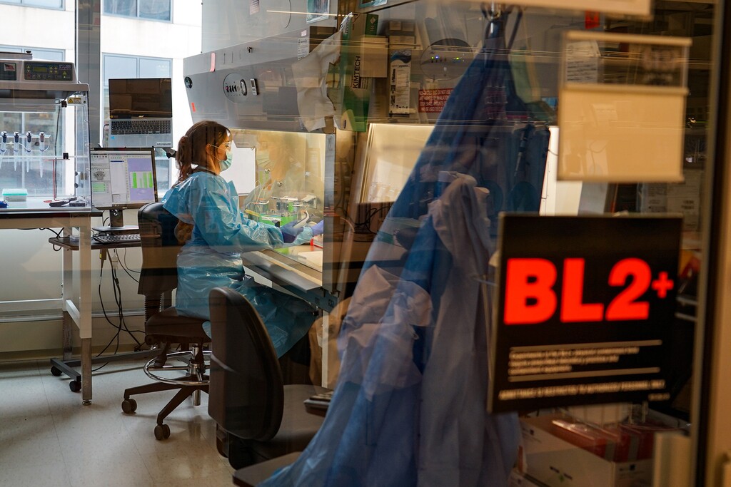 (Amy Maxmen | KFF Health News) Katelyn Messer is among the researchers at the Broad Institute in Cambridge, Massachusetts, who have sequenced 1,000 whole genomes of measles viruses that spread in the U.S. between Jan. 20, 2025, and Jan. 20, 2026. The data will help reveal whether the country has lost its measles elimination status.