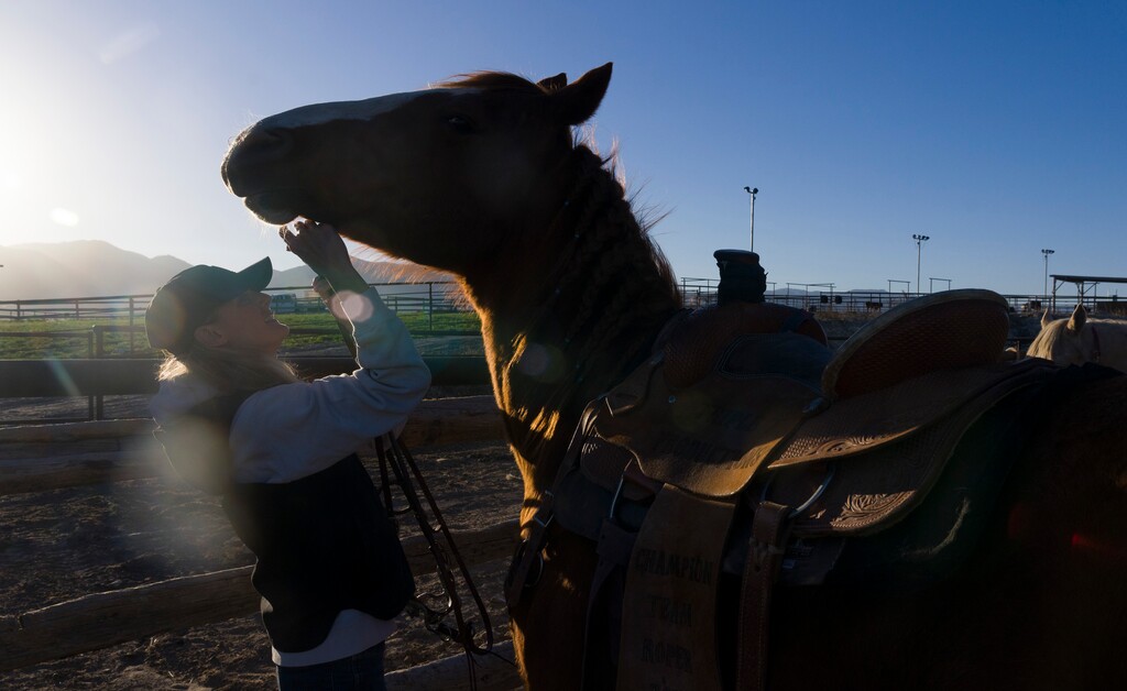(Bethany Baker  |  The Salt Lake Tribune) Chelsey Butterfield prepares to bridle a trail horse before a ride at Golden Hour Farm in Hyrum on Thursday, March 26, 2026.