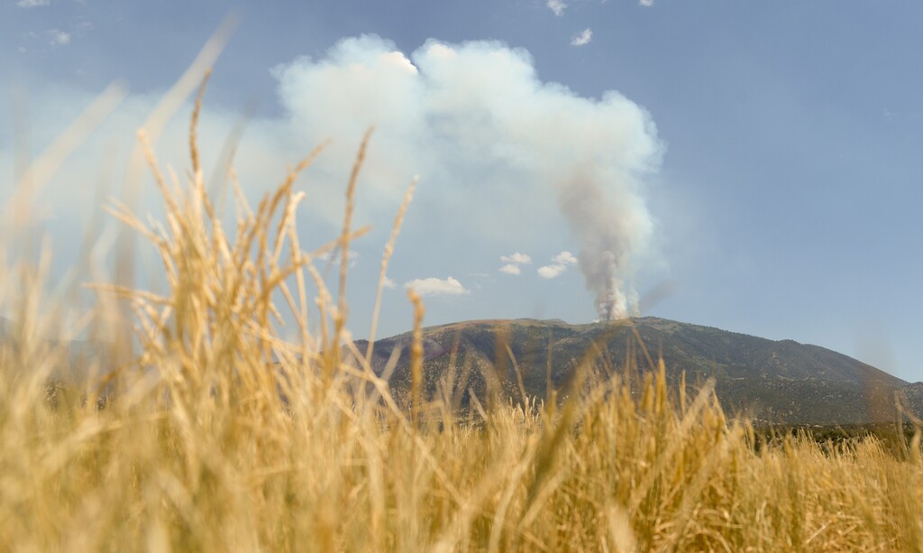 (Chris Samuels | The Salt Lake Tribune) The Jacob City Fire burns amid dry grass outside Stockton, Tooele County, Monday, July 11, 2022.