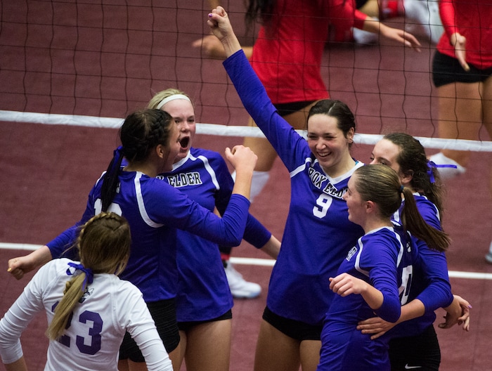 (Rick Egan  |  The Salt Lake Tribune)  The Box Elder Bees celebrate a big point over the Bountiful Braves, in 5A volleyball championship game, Bountiful vs. Box Elder, at Utah Valley University, Saturday, November 4, 2017.