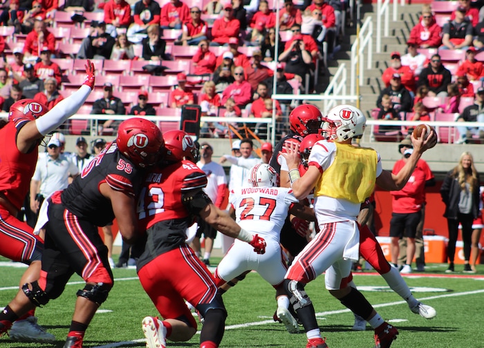 (Christopher Kamrani | The Salt Lake Tribune) Utah quarterback Jack Tuttle drops back to pass in the first half of Utah's Red-White game Saturday afternoon at Rice-Eccles Stadium.