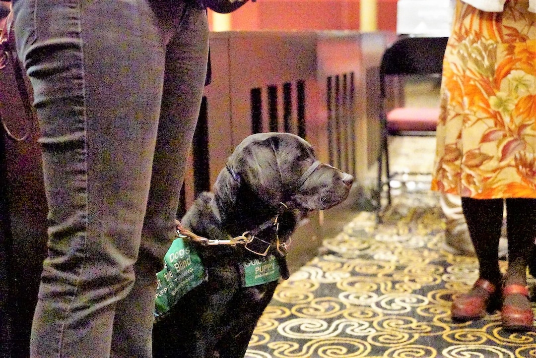 (Photo courtesy Utah Opera) A service dog sits by during a dress rehearsal for Utah Opera's production of Mozart's "The Magic Flute" at Salt Lake City's Capitol Theatre on Wednesday, March 6, 2019. Utah Opera, the Moran Eye Center and the Utah Council for the Blind organize the annual event for visually impaired opera fans.