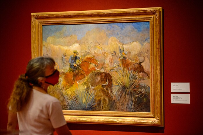 (Trent Nelson  |  The Salt Lake Tribune) Shari Lindsey looks at Minerva Teichert's painting Battle of the Bulls as Utah Museum of Fine Arts in Salt Lake City opens for the first time in five months, with new COVID-19 restrictions in place, on Wednesday, Aug. 26, 2020.