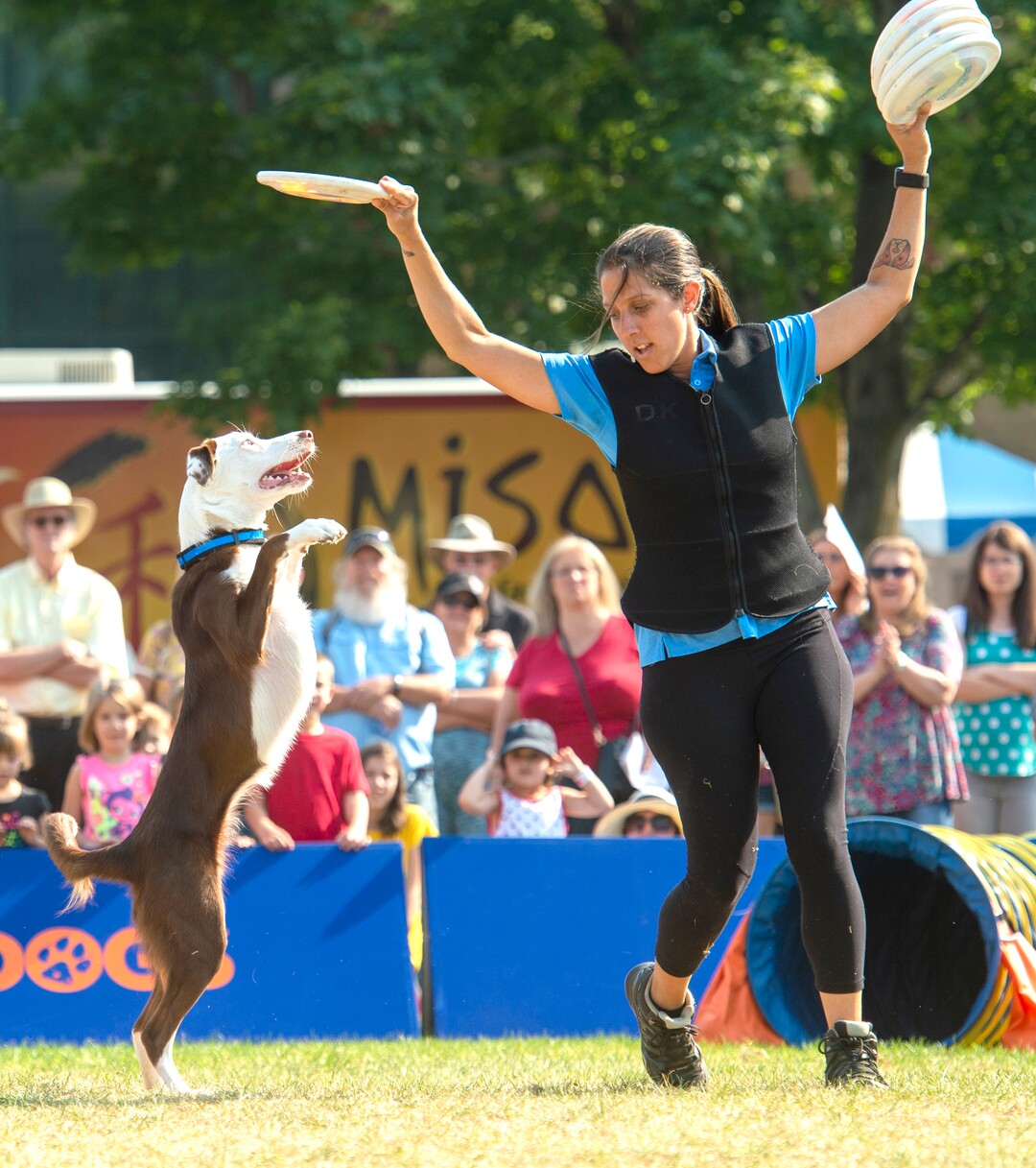 (Rick Egan  |  The Salt Lake Tribune)    Dee the trainer, works with a dog named Rogue, during the Extreme Dog Show, at the Utah State Fair Monday, Sept. 9, 2019.
