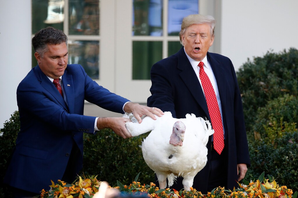 (Patrick Semansky | AP file photo) President Donald Trump pardons Butter, the national Thanksgiving turkey, in the Rose Garden of the White House, Tuesday, Nov. 26, 2019, in Washington.