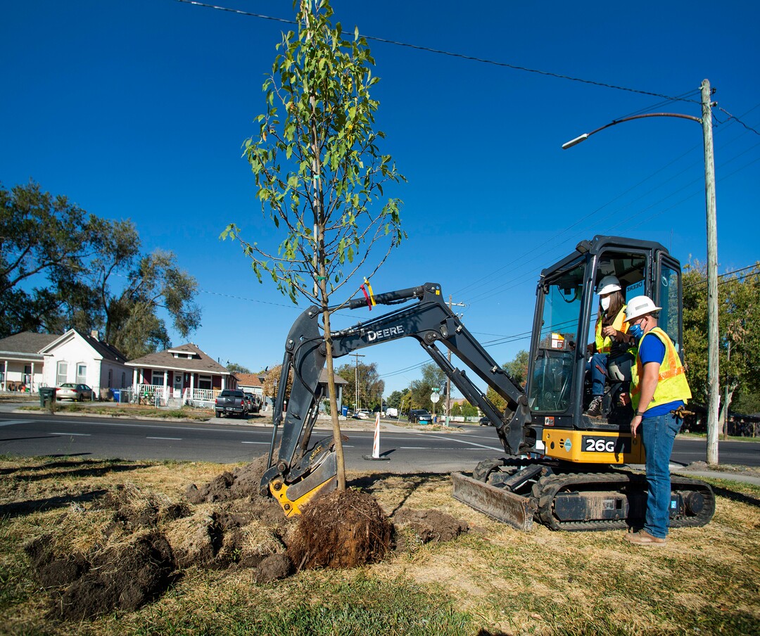 (Rick Egan  |  The Salt Lake Tribune)   Salt Lake City Mayor Erin Mendenhall digs a hole for a tree using a mini excavator with the assistance of Chase Bybee, as she joins more than 100 volunteers from Dominion Energy to plant 205 trees in the Fairpark neighborhood, which is said to be single largest volunteer tree planting event in Salt Lake City, on Thursday, Oct. 1, 2020.