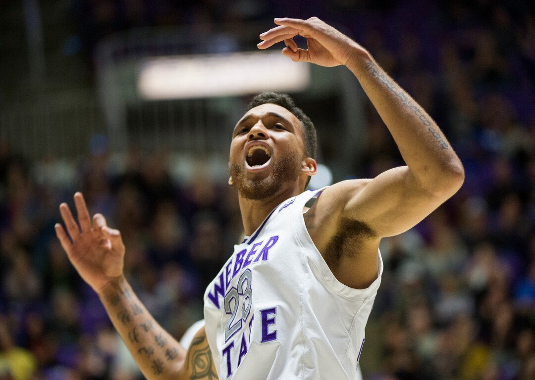 (Rick Egan  |  The Salt Lake Tribune)       Weber State Wildcats forward Brekkott Chapman (23) celebrates after sinking a 3-point shot giving the Wildcats a 13 point lead in the second half,  in basketball action between Brigham Young Cougars and Weber State Wildcats, at the Dee Event Center in Ogden, Saturday, Dec. 1, 2018.