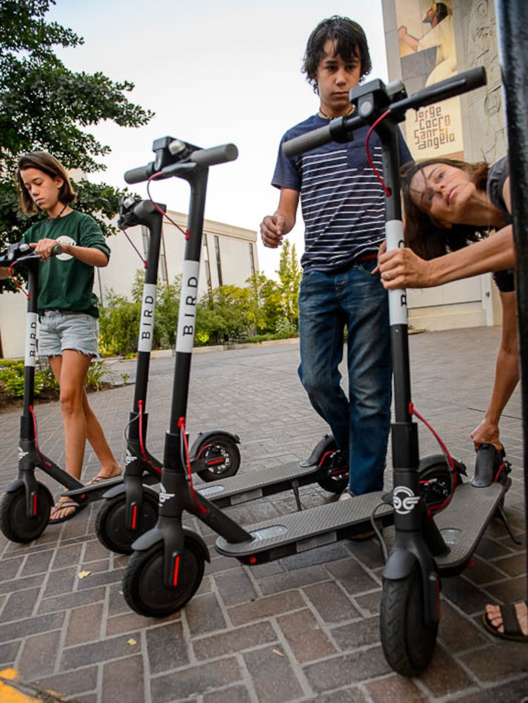 (Trent Nelson | The Salt Lake Tribune) Jenn Hein sets out scooters in Salt Lake City early Wednesday Aug. 8, 2018. Hein works as a "Bird charger" on the side to make some extra cash, picking up and charging electric scooters overnight and returning them to the city streets in the early morning. Her children, Ady and Chase Hein, help out.