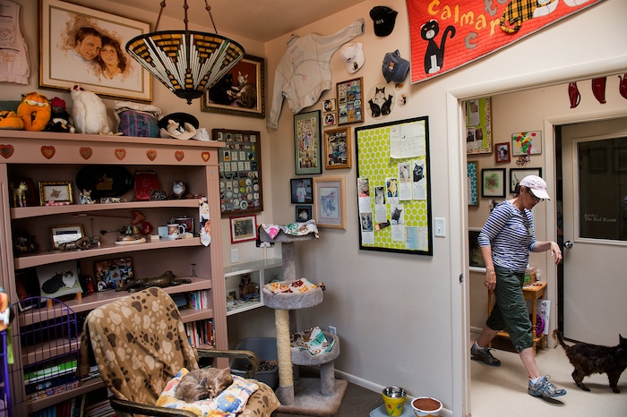 Leah Hogsten  |  The Salt Lake Tribune
Jane Osick, a high school English teacher from Pasadena, CA, decided to spend her summer volunteering at Cat World for five weeks. Best Friends saves thousands of animals every year as the nation's largest no-kill sanctuary, encompassing some 3,700 acres about 5 miles outside Kanab.
