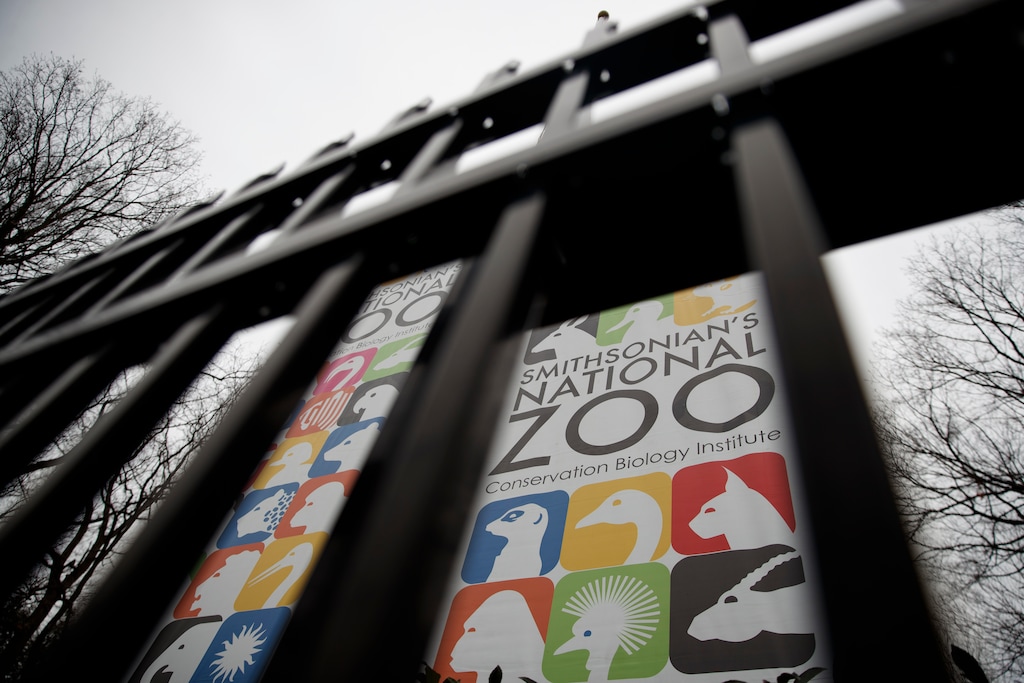 (Carolyn Kaster | The Associated Press) The gate of the closed Smithsonian's National Zoo is seen, Wednesday, Jan. 2, 2019, in Washington. Smithsonian's National Zoo due to the partial government shutdown. President Donald Trump is convening a border security briefing Wednesday for Democratic and Republican congressional leaders as a partial government shutdown over his demand for border wall funding entered its 12th day.
