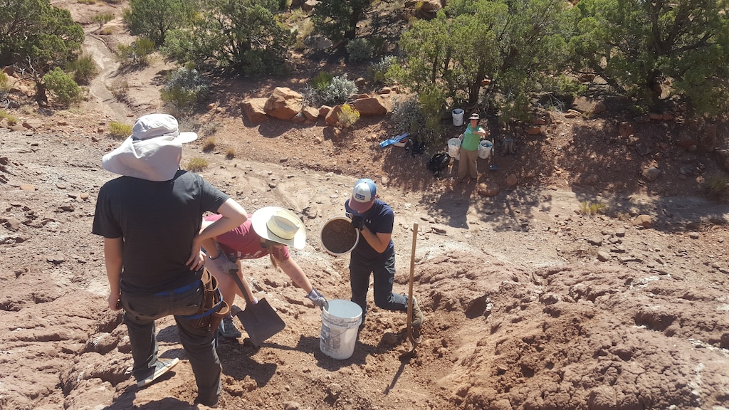 (Photo courtesy of Robert Gay) Paleontologists excavate a phytosaur fossil in what was Bears Ears National Monument in September 2017. The site turns out to harbor a rich deposit of Late Triassic fossils in the Chinle Formation.