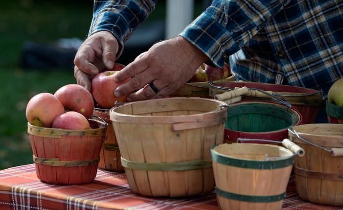 (Leah Hogsten  |  The Salt Lake Tribune) Kent Pyne with Pyne Farms in Santaquin rearranges apples in baskets for sale on the final day of the Salt Lake City Farmer's Market, Oct. 24, 2020.