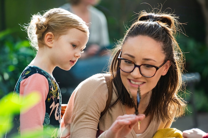 (Rick Egan  |  The Salt Lake Tribune)     
Harper Steele, 3, keeps her distance as her mother, Lynnsey Steel holds the butterfly for  her, at the Butterfly Biosphere at Thanksgiving Point’s Water Tower Plaza in Lehi. Tuesday, Jan. 22, 2019.  The New Butterfly Biosphere is home to more than a thousand butterflies from around the world. 