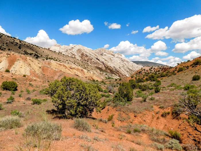 Erin Alberty  |  The Salt Lake TribuneDesert Voices is a family trail at Dinosaur National Monument. It is just over 2 miles long and shows off some of the monument's rocky scenery and desert plants and wildlife. May 27, 2017.